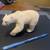 Polar Bear 1 thumbnail