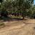 Land for Sale – Nature, Security, and Location 3 thumbnail
