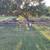 Short fence & dog house 1 thumbnail