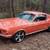 1968 Ford Mustang Fastback 68 coupe / convertible $99K 5 thumbnail