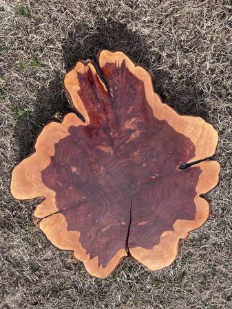 live edge cedar round 1