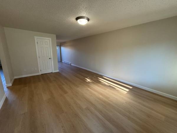 ✨LEASING SPECIAL✨Gorgeous 2 BD, new LVP, New Appliances, Large Patio 1