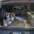 1997 K1500 Suburban 5 thumbnail
