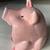 Pig sponge holder, summer garden decoration, scrubbie holder 2 thumbnail