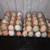 Npip Small Chicken Hatchery Hatching eggs and chicks 10 thumbnail