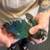 Turquoise Conure 12 thumbnail