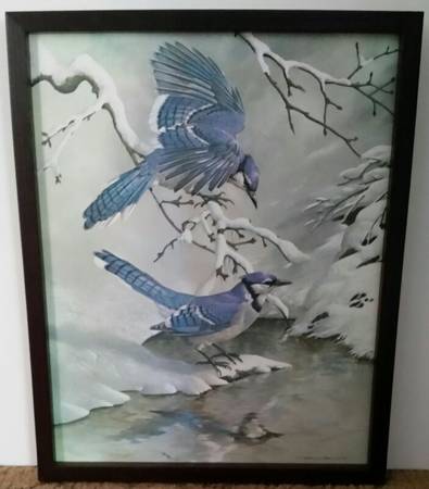 - Blue Jays - Framed Canvas Print - 1