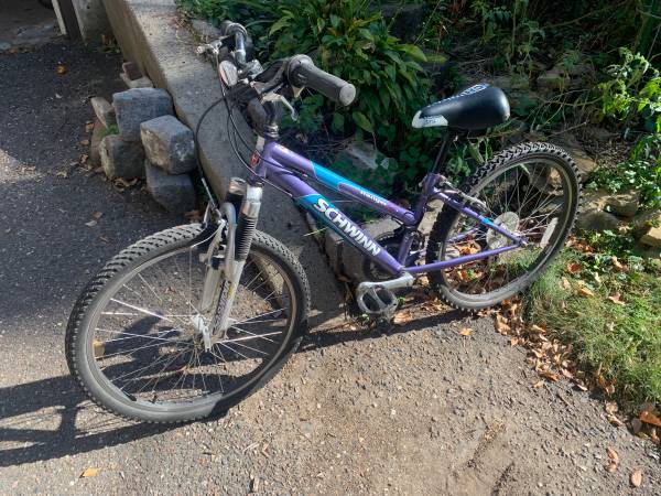 Schwinn Ranger (Kid’s 24” wheels) 1