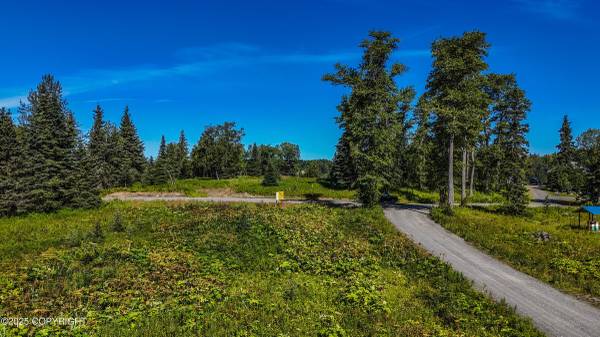 $30,000 1.13 Acre lot in Ninilchik (Ninilchik)64163336246147121