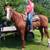 Gelding 3 thumbnail