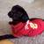 USC Trojans T-Shirt for Small Dogs or Cats - Brand New 2 thumbnail