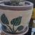 Flower pots $10 21 thumbnail