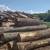 Firewood for Sale 2 thumbnail