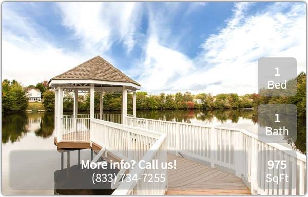 Your dog or cat is welcome! Amazing pet-friendly 1 BR / 1 BA! 1