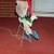 SNOOPY DOG Christmas Lawn Porch Decoration Holiday Outdoor Light Up 2 thumbnail