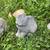 Six assorted garden stone decorations, $60 for all 8 thumbnail