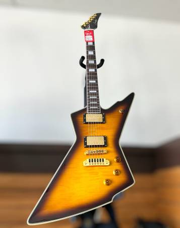 Firefly FFLX Solid Body Electric Guitar with Case 1