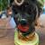 VINTAGE BLACKAMOOR LAMPS 3 thumbnail