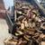 Firewood 10 thumbnail