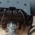 skidoo engine 640 rotax 5 thumbnail