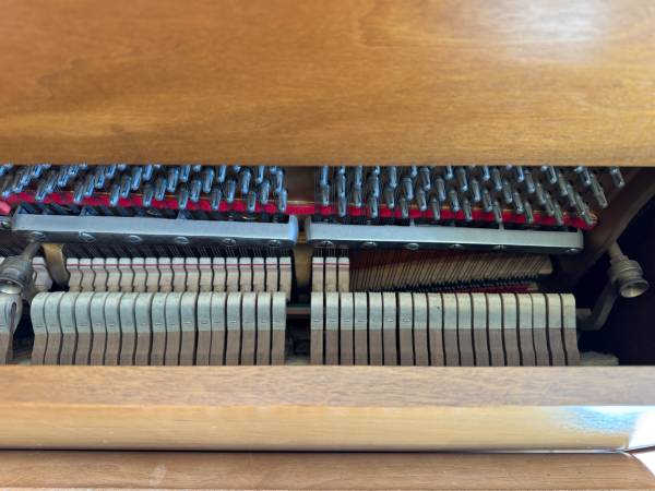種ともこ VISION AND PIANO 種ともこ VISION AND PIANO 種ともこ