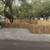 FAMILY RV PARK LOTS FOR RENT IN A RV RESORT INSTEAD OF A CAMPGROUND 20 thumbnail