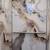 Elevator Cab Panels - PVC Marble Sheets | Lightweight + Durable 4 thumbnail