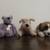 Beethoven. & 3 More Small Stuffed Dogs / Animals. . 2 thumbnail