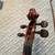 15” viola 4 thumbnail