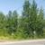 Commercial LAND LISTING! 0.32 Acre Lot in Downtown Wasilla 3 thumbnail