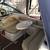 2003/2018 Larson Cabrio 274 - $23,500 (Marina del rey) 14 thumbnail