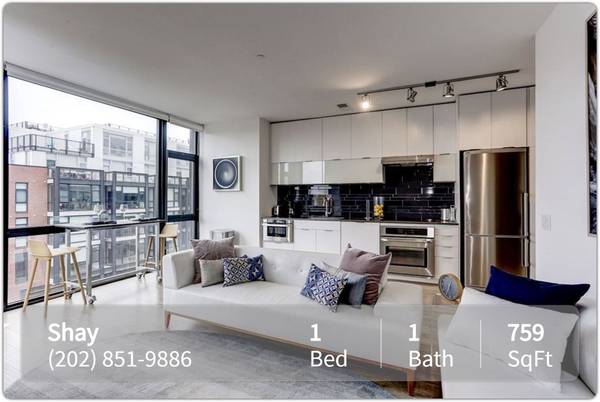 $2,245 / 1br - 759ft2 - 1 bed, 1 bath floorplans available at The Shay (Washington - Shaw -  D.C.)64040030664833122