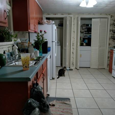 $675 / 2br - 1100ft2 - Mature, professional housemate wanted, $675 month (West Asheville)64029204724098124