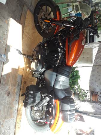 2021 Harley Davidson 883 iron lx (Hobe Sound)63832903155713123