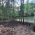 Professional Land Clearing & Forestry Mulching – Apexx Industries LLC 12 thumbnail