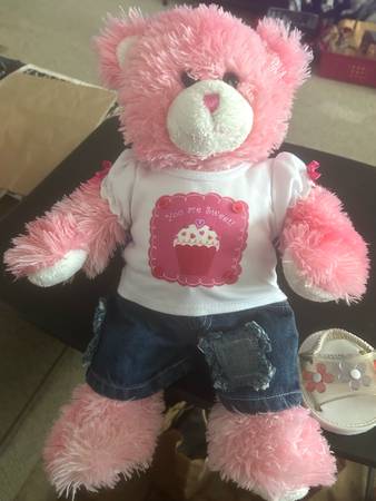 FIVE DIFFERENT BUILD  A BEARS W/THEIR OUTFITS 1