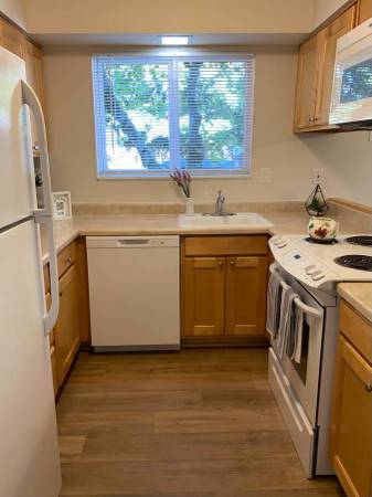 End Unit W/ Private Patio & Natural Light!! Tour & Apply!! 1