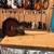 JBL PRX815 Powered Sub **Gravity Music Gear** 18 thumbnail