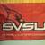 Saginaw Valley State University Banner 1 thumbnail