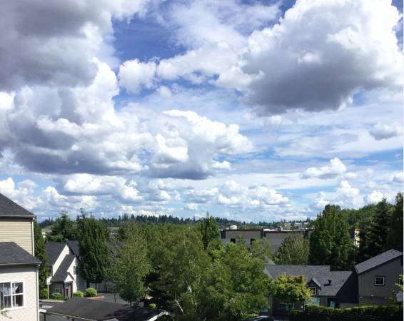 Great Value, Smart Home Package and Washer Dryer in Every Home 1