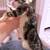 2 Female kittens available For adoption/rehoming out of Purcell, OK 5 thumbnail