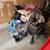 Baby/ kids stroller, high chair, bike seat for toddler 3 thumbnail
