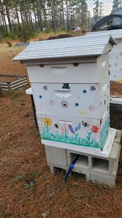 Complete 2 Flow Hive Beekeeping Setup + Extractor + Extras 1
