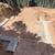 CONCRETE FOUNDATIONS, SLABS AND FLATWORK 6 thumbnail