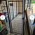 DOG KENNEL FER SALE 1 thumbnail