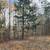 🏡 1.42 Acre Build-Ready Lot – Trinity, NC – Permits & Utilities Ready 9 thumbnail
