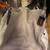 Purse 1 thumbnail