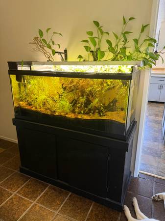 65 gallon fish tank accessories Aquarium Decorations Set, Decor with Artificial Plants and Resin Ornaments, Betta Fish Tank for Small Tanks, Soft Safe Plastic Plants with Hideout Cave Dcor(Ornaments set #2) affordable pet products for more than two decades Do you think this stand