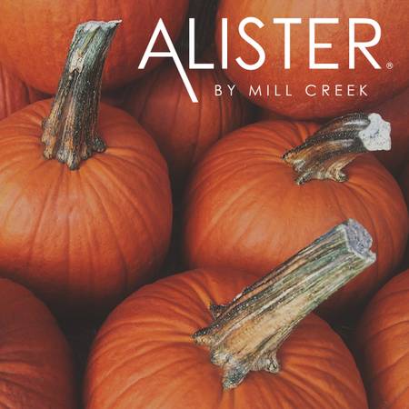 $2,099 / 3br - 1113ft2 - Be Charmed at Alister Parx with 3 bed/ 2 bath homes Available! (Everett)63934290393858121