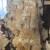 Wood slabs 3 thumbnail